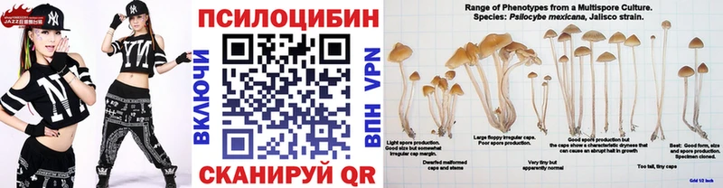 магазин площадка официальный сайт Галлюциногенные грибы Magic Shrooms Медногорск